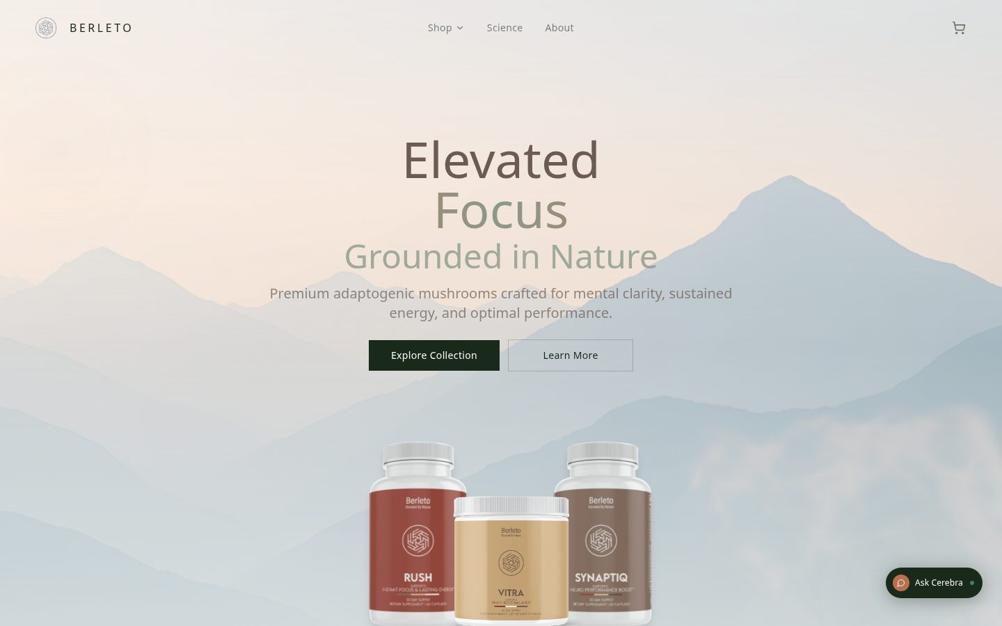 Berleto, Premium Supplements: Website von Pixylmedia
